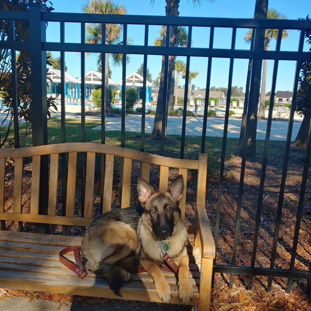 Meet your Posher, Mark